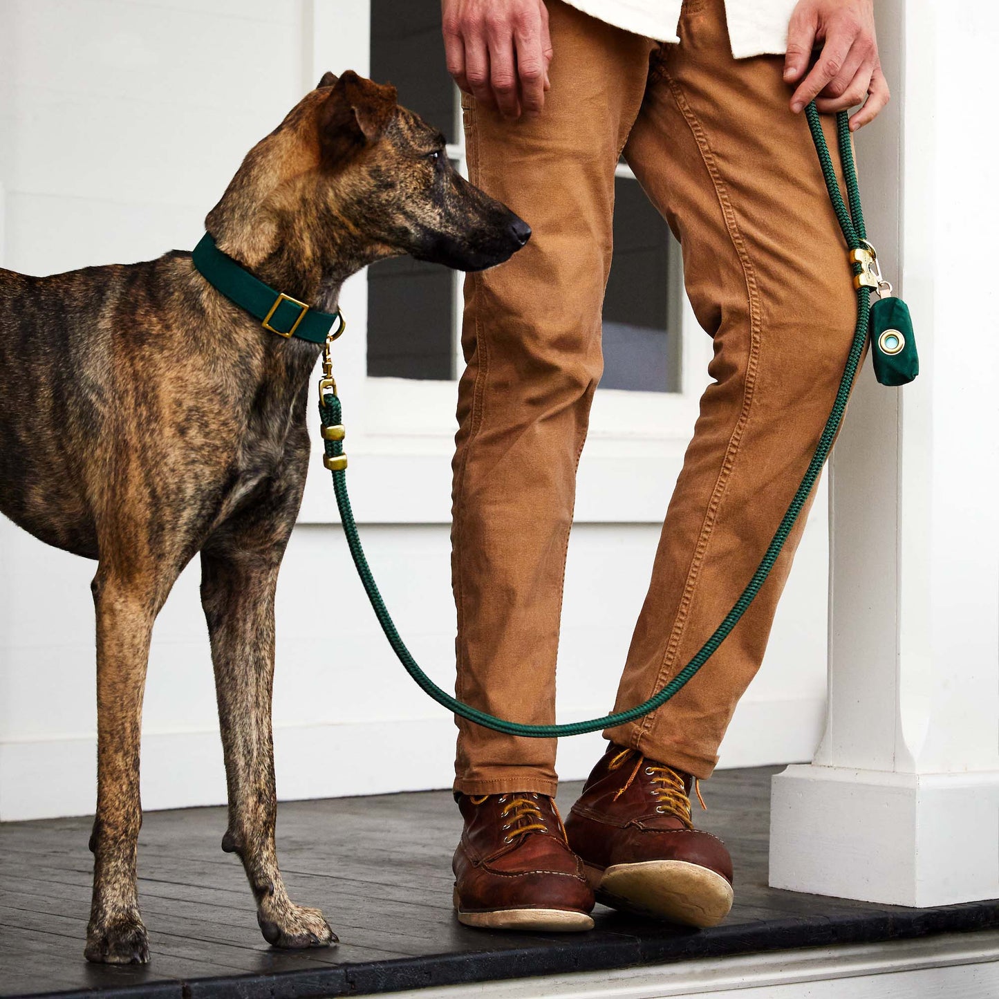 Evergreen Dog Collar