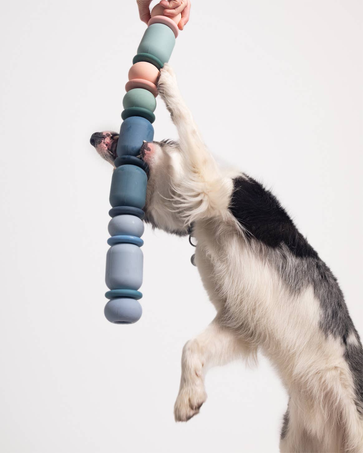 Armadillo Dog Toy