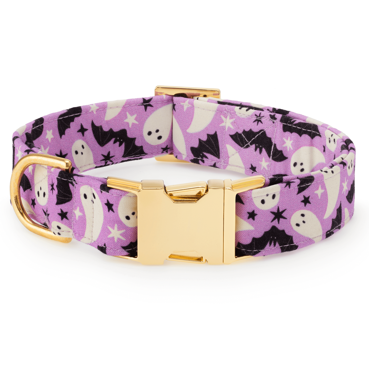Spooky Season Glow-in-the-Dark Dog Collar: