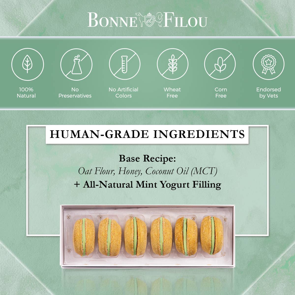 Bonne et Filou Dog Macarons | Pumpkin