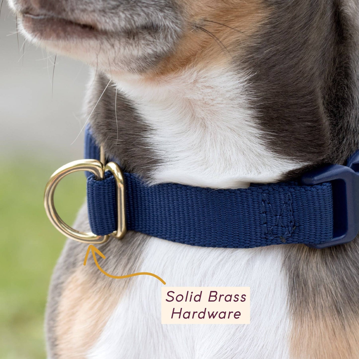 Pack Collar: PINE