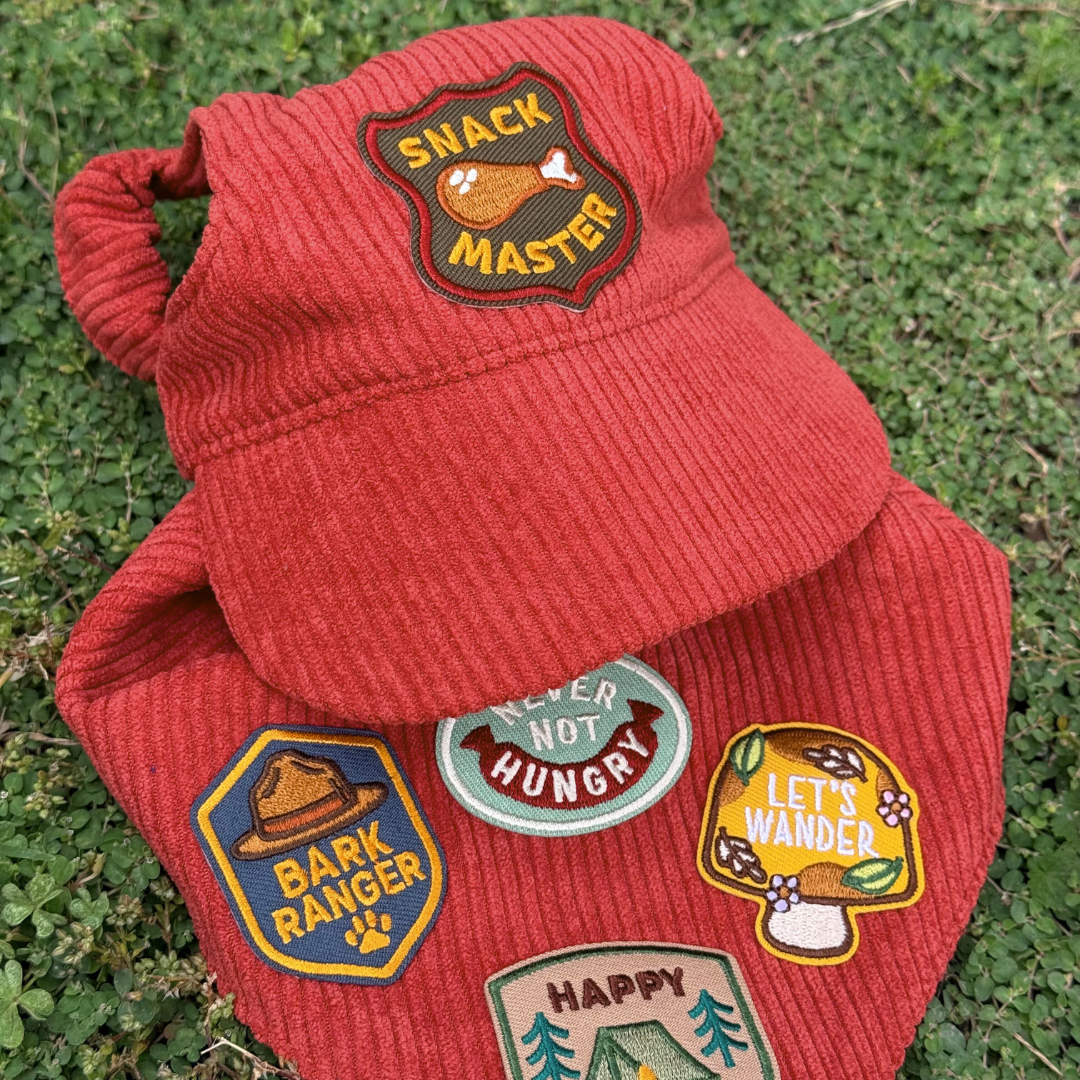Snack Master | Velcro or Iron-On Patch for Pets