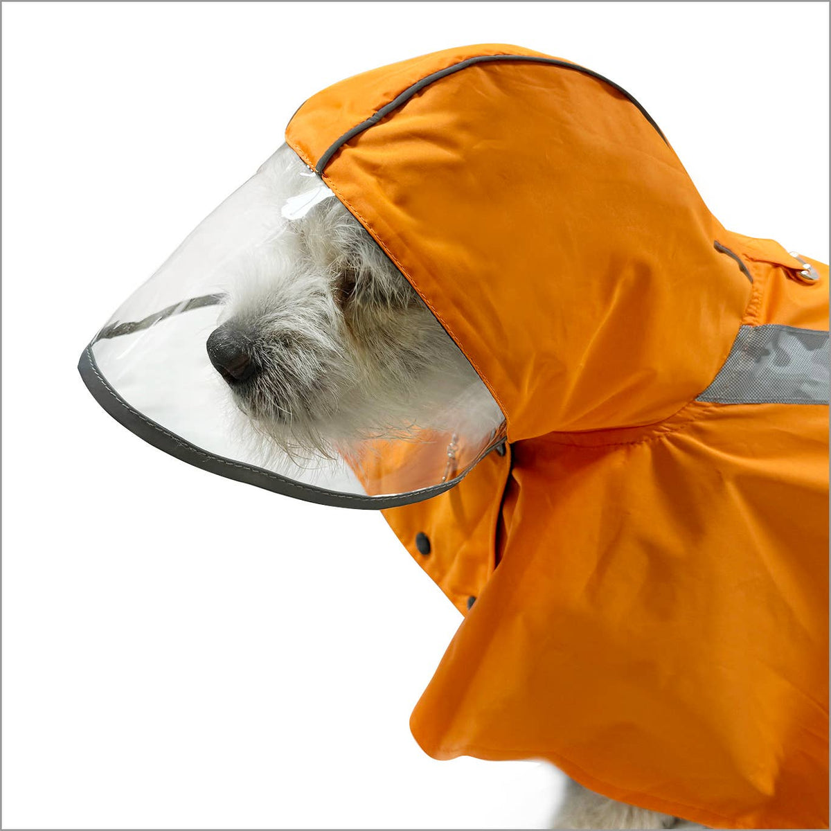 Clear View Poncho Raincoat: Small
