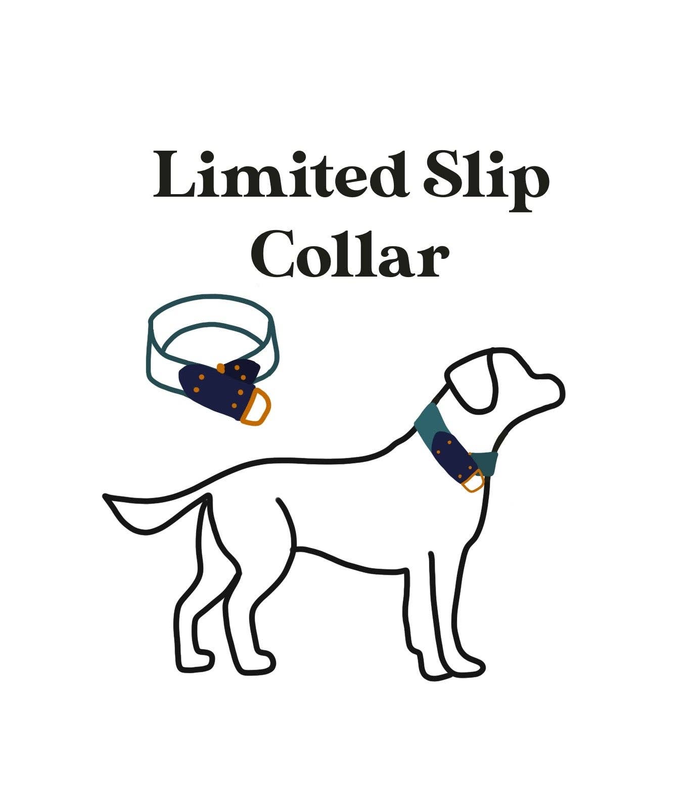 Fi Compatible Collar: 3/4"