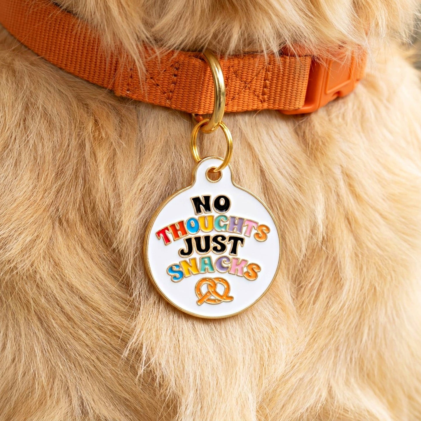 Dog Collar Charm or Pet ID Tag - No Thoughts Just Snacks: Small / Digital ID
