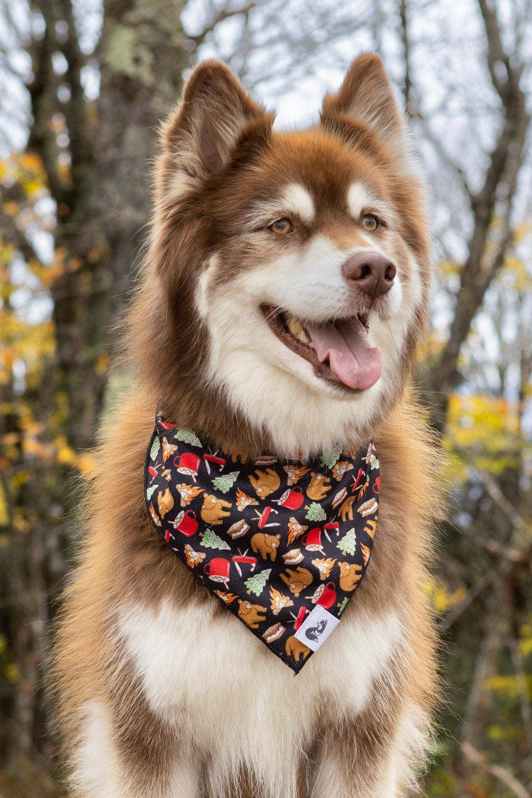 Woodland Tales Dog Bandana: XL