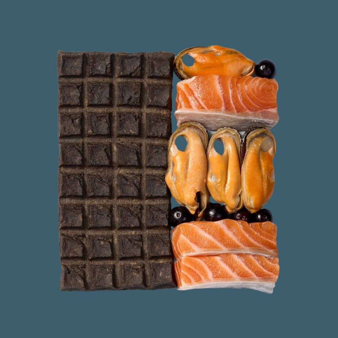 Salmon Treat & Snack Bar for Active -Dogs Energy & Recovery
