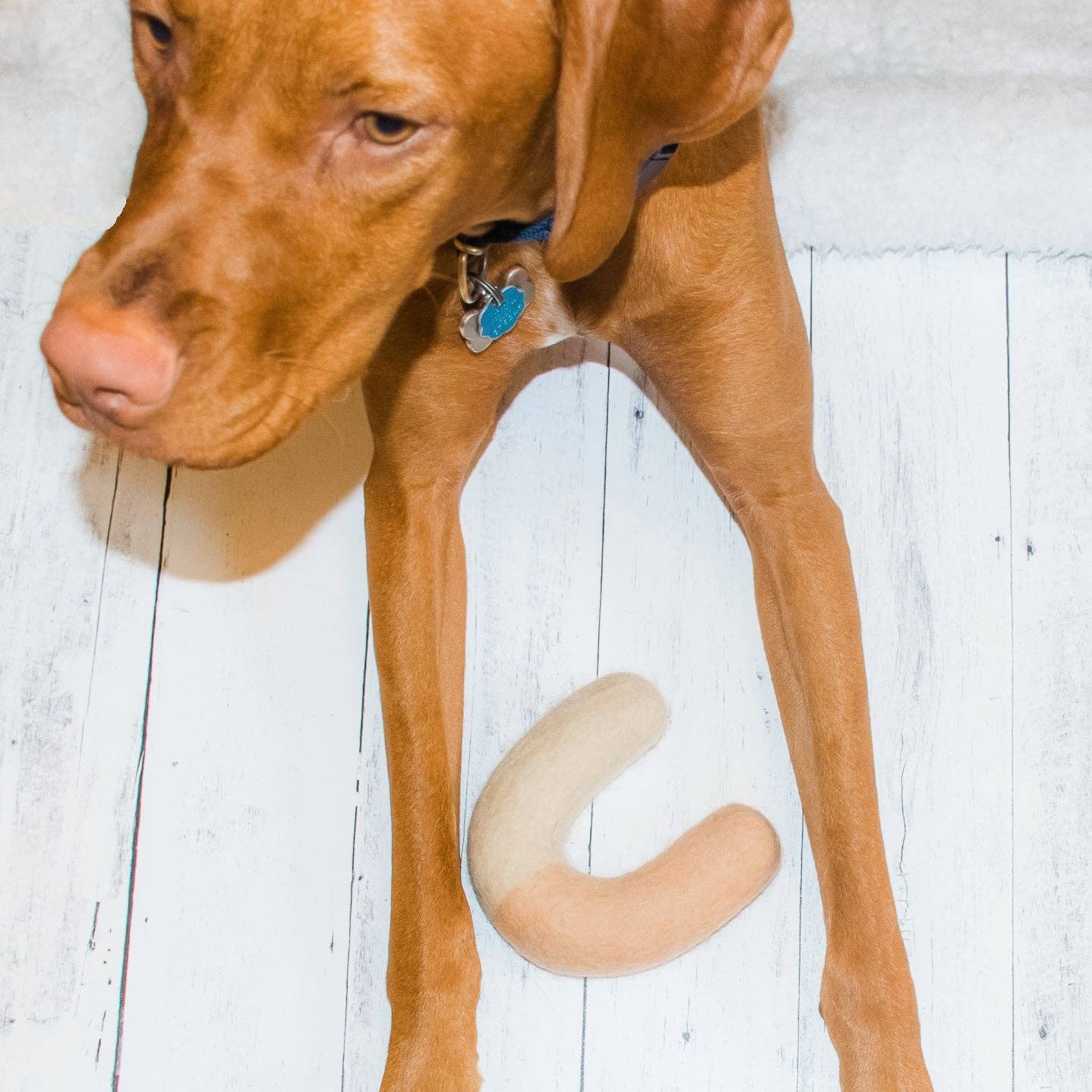 Archie Felt Toy