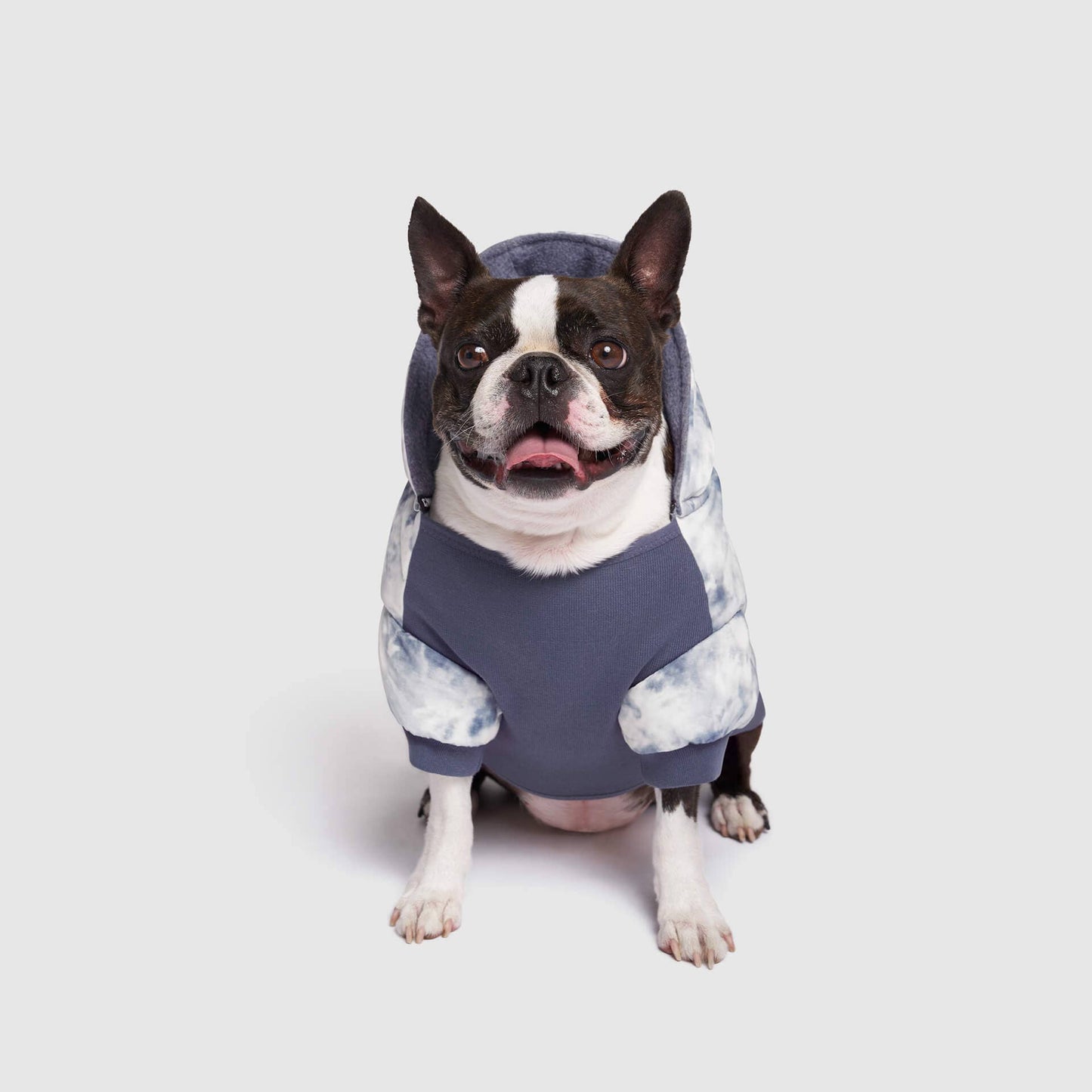 Prism Puffer- Dog Coat: Galaxy / 8