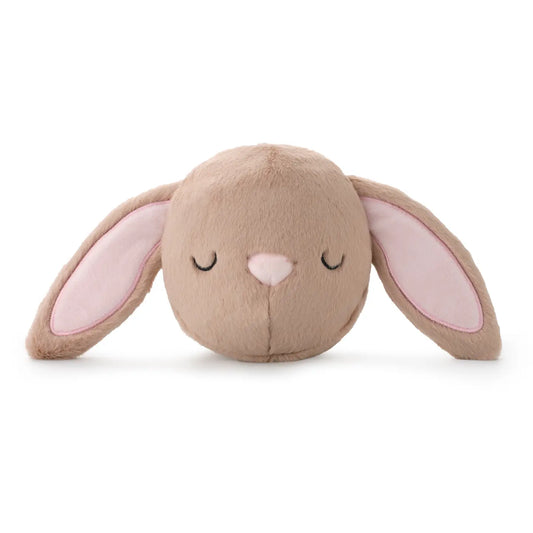 Bunny 2-in-1 Bounce Dog Toy