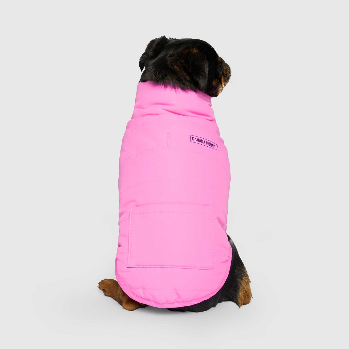 Reversible Puffer Vest- Dog Coat: Pink/Purple