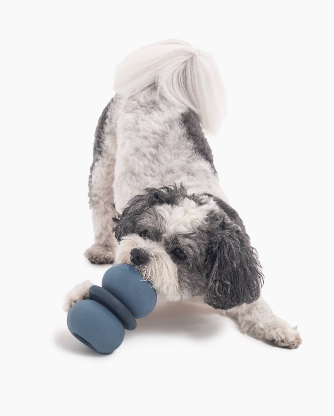 Armadillo Dog Toy