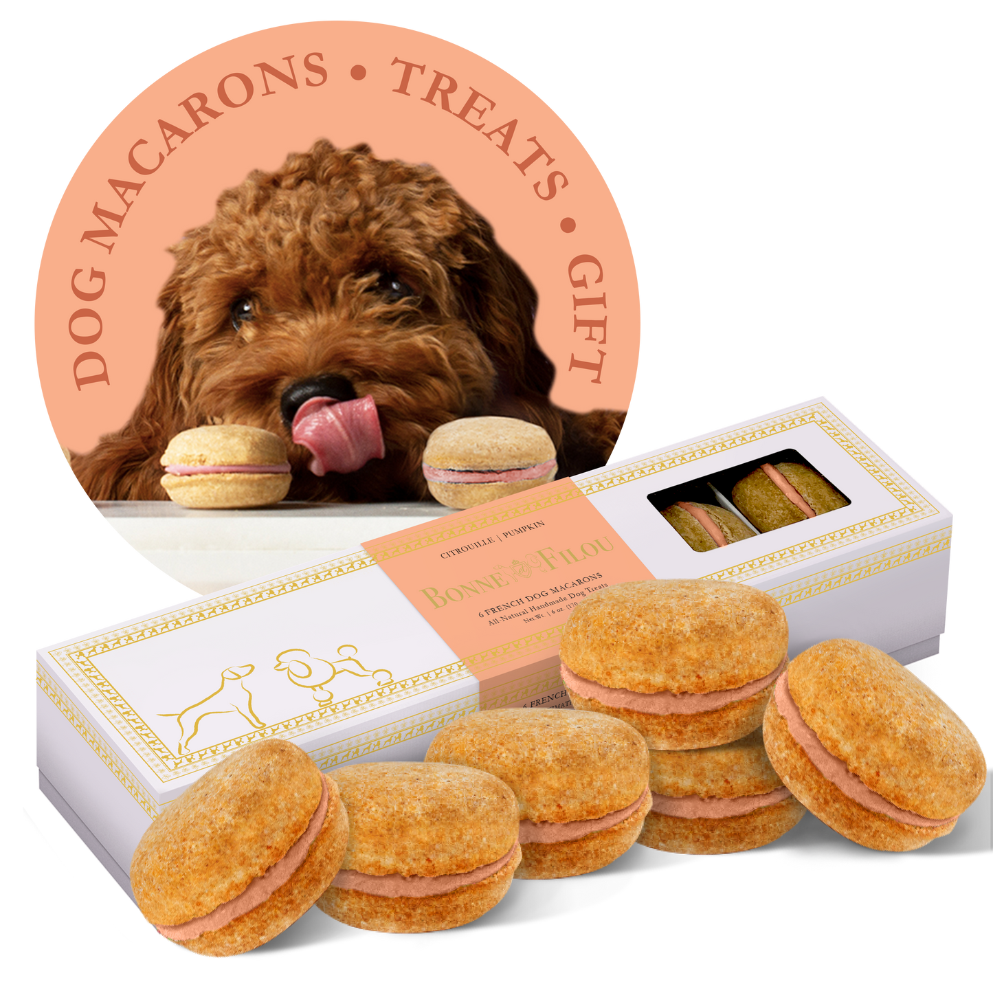 Bonne et Filou Dog Macarons | Crème Brûlée