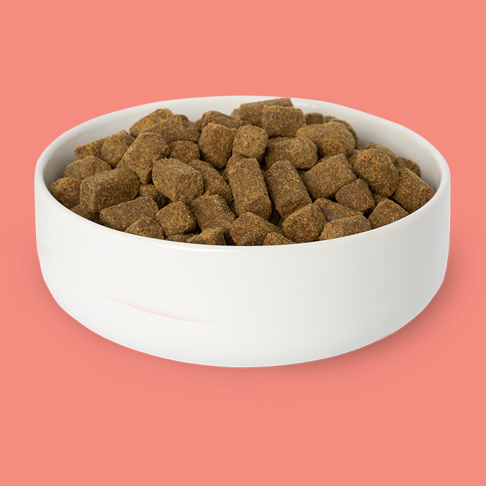 All-Natural Cold-Pressed Salmon Dog Food: 2 lb
