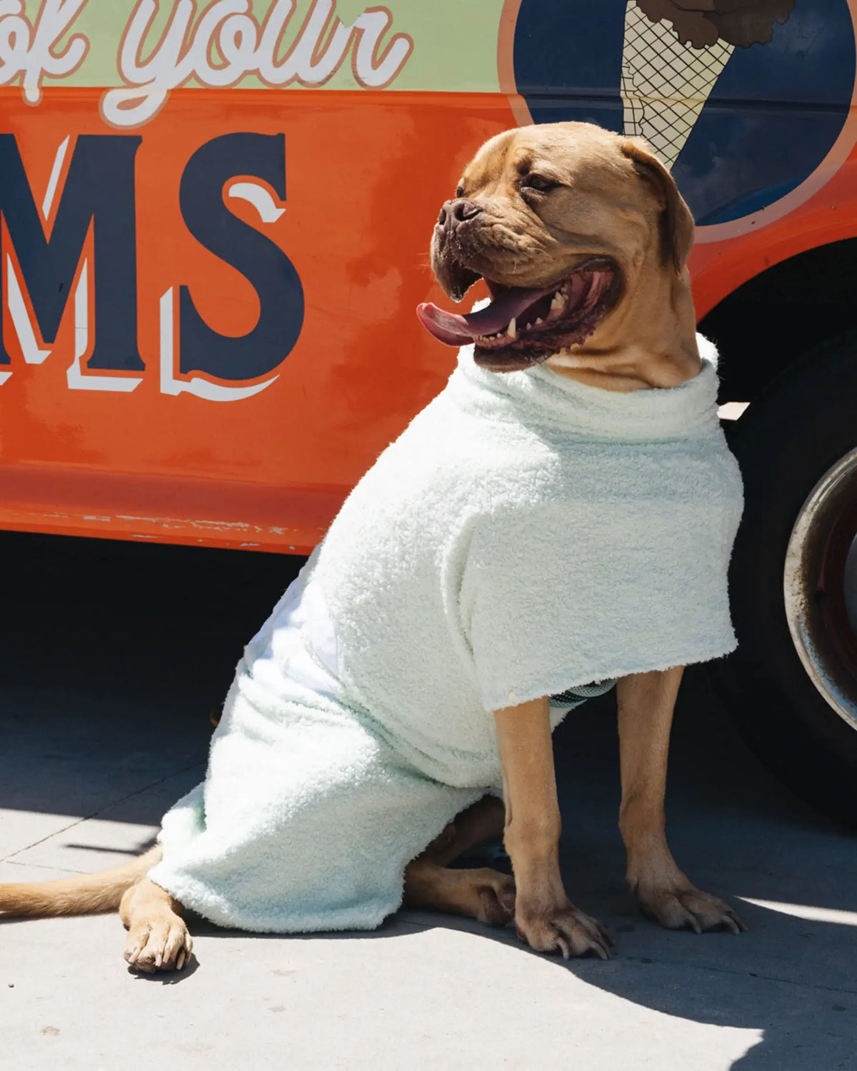 DOG Poncho: Blush