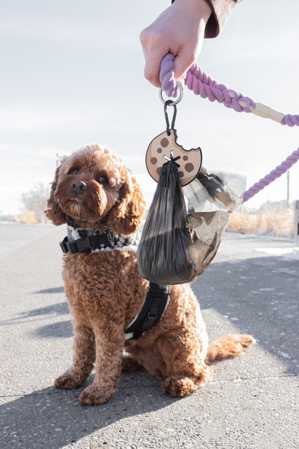Chocolate Chip Cookie Poopy Loop® Used Dog Waste Bag Holder