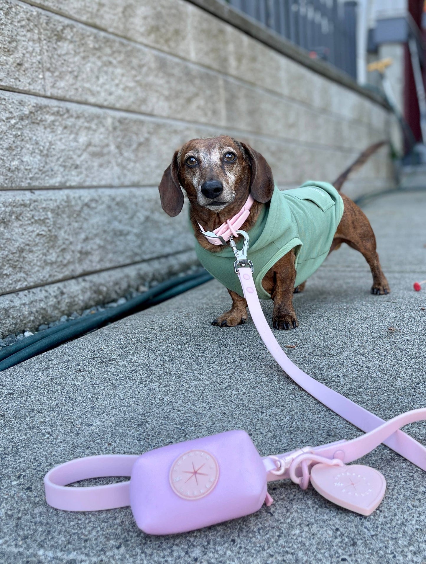 Waterproof Dog Leash - Pink