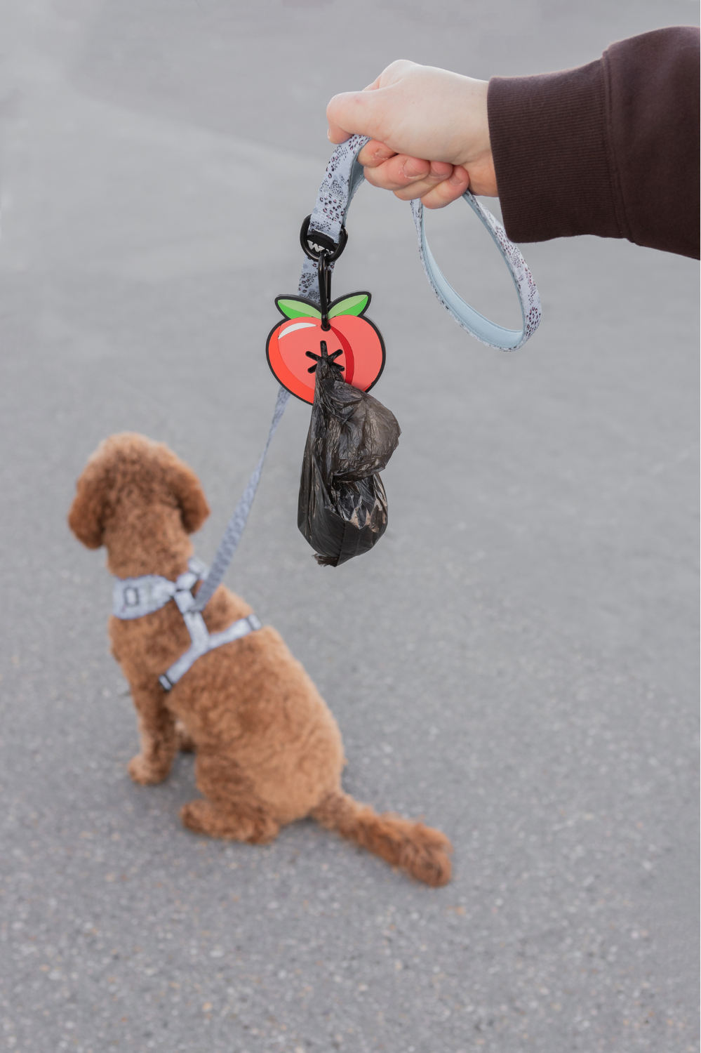 Peach Poopy Loop® Dog Waste Bag Holder