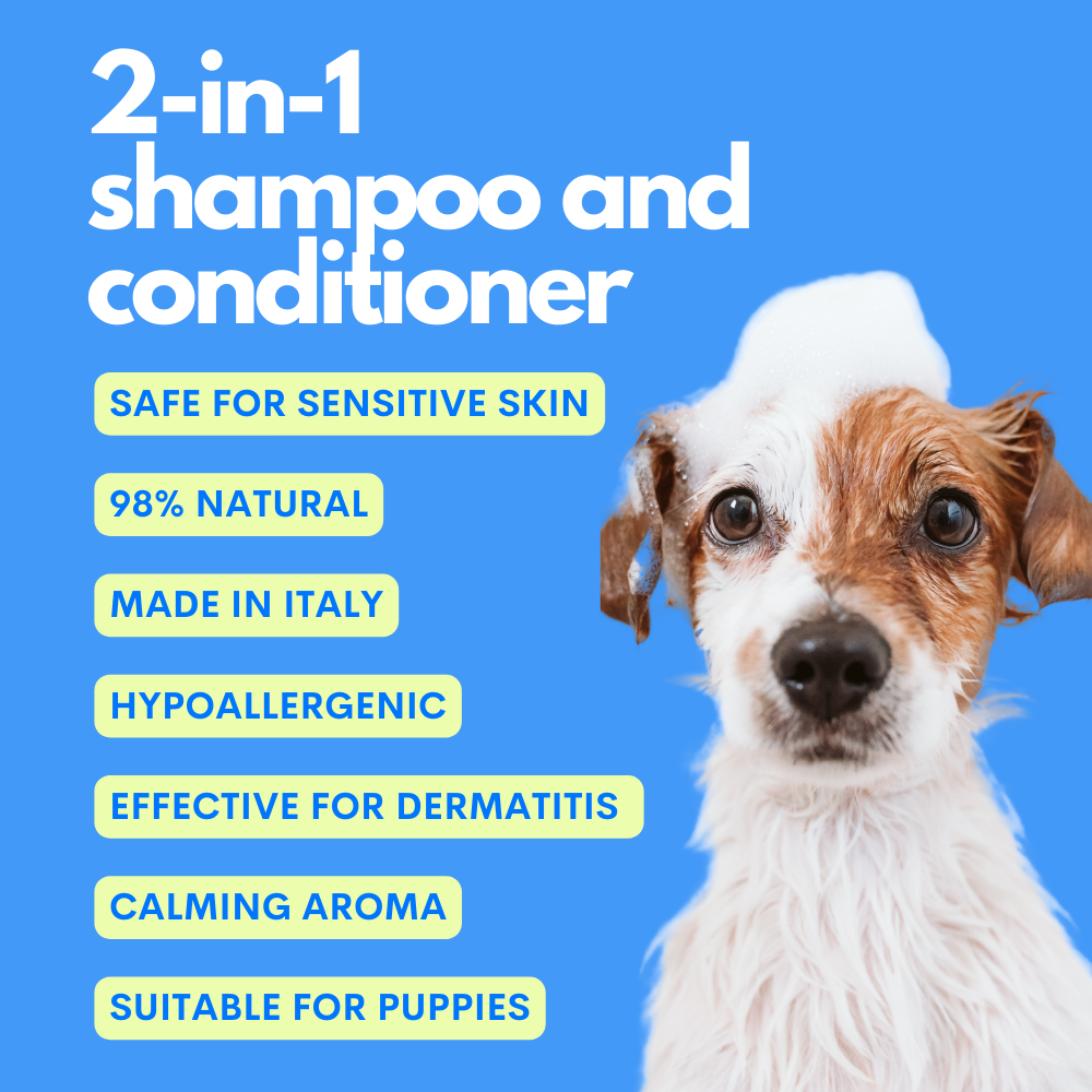 The Number One Shampoo+Conditioner Hypoallergenic For Dogs