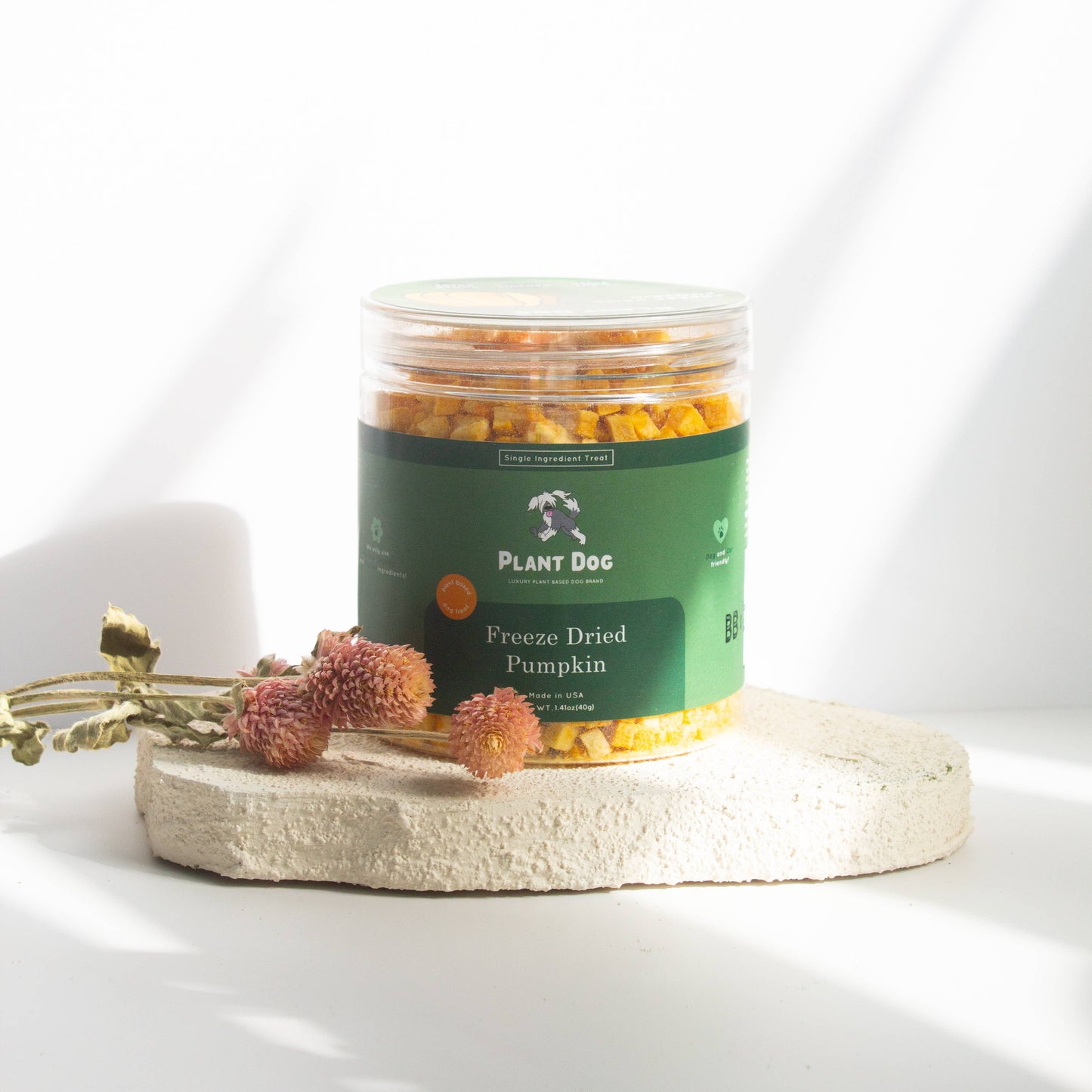 Freeze Dried Pumpkin