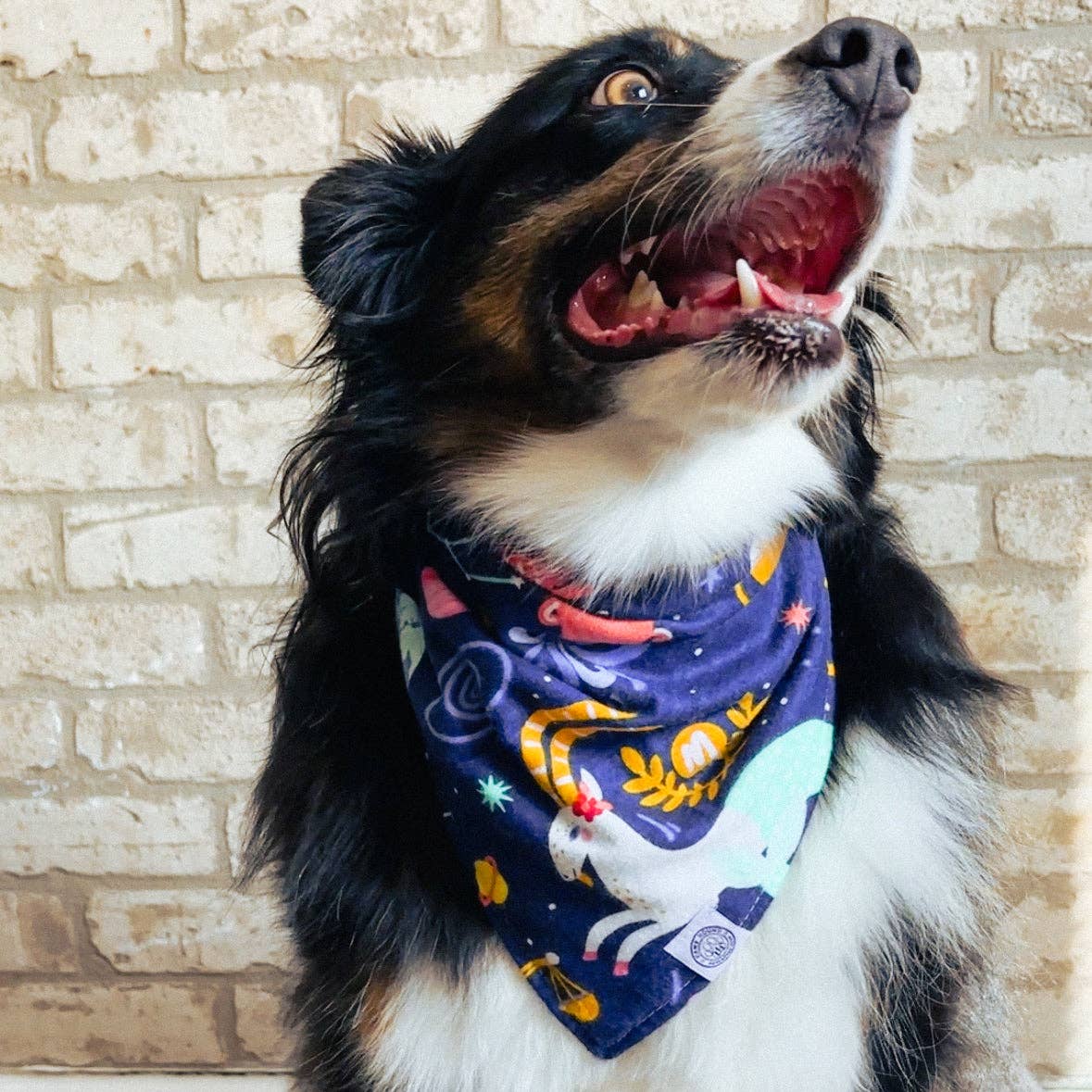 Astro Dog Bandana