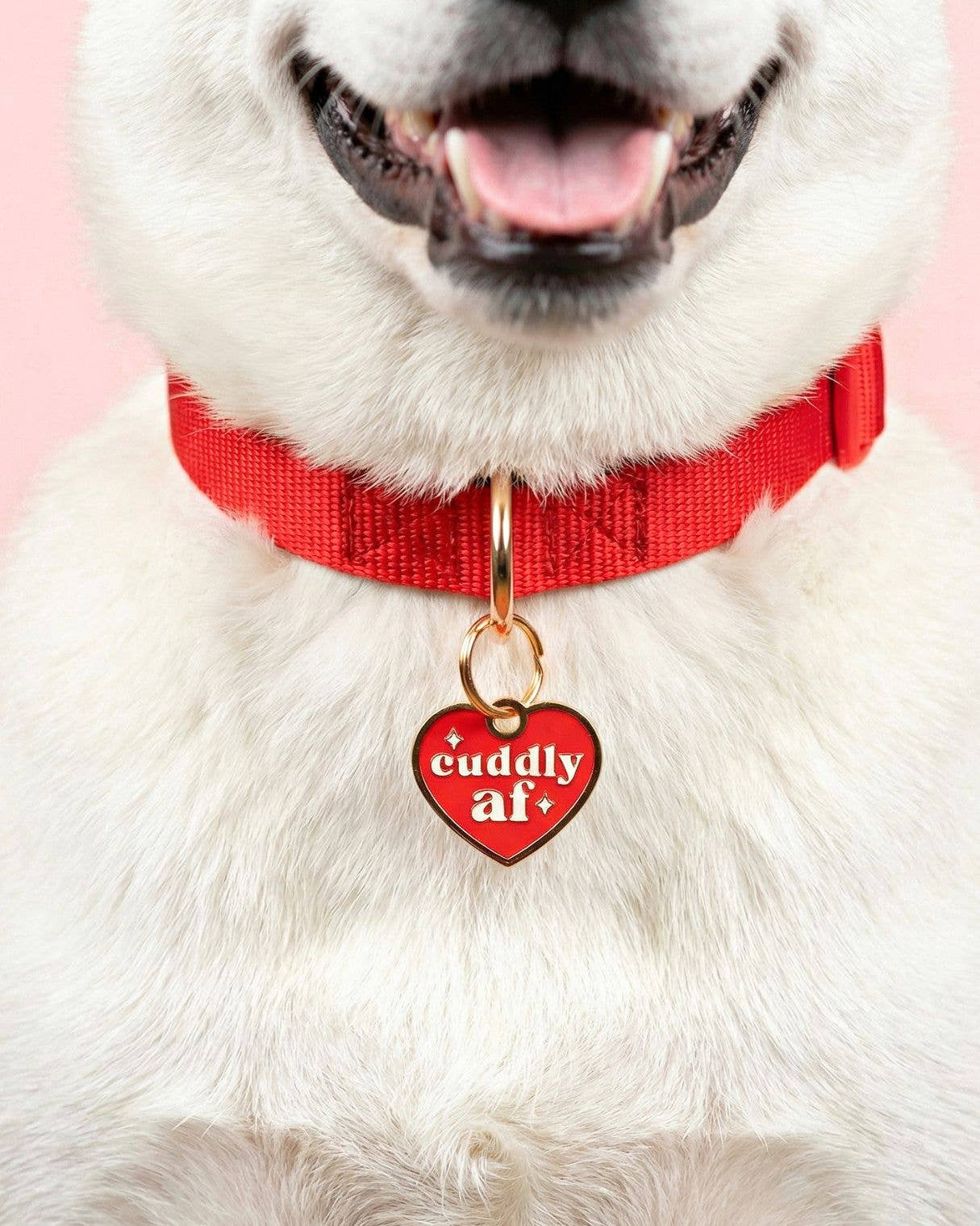 Funny Dog Charm & Pet ID Tag- Cuddly AF : Large / Engraved QR Code