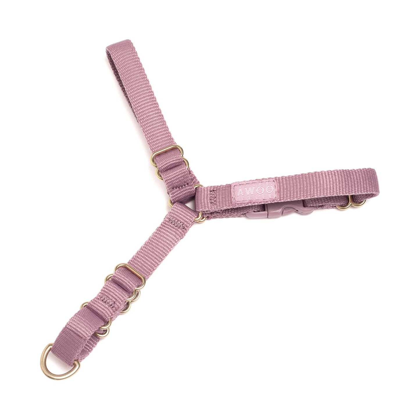 Roam Harness: SLATE