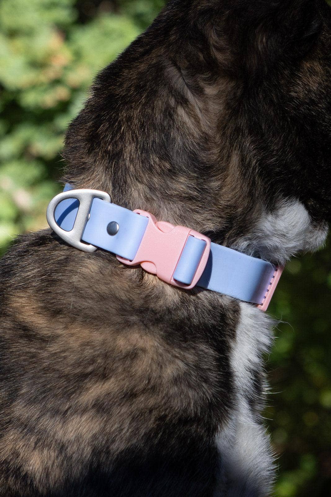 Blue Sky Orchid Waterproof Dog Collar: Periwinkle / Light Pink / 15 - 17