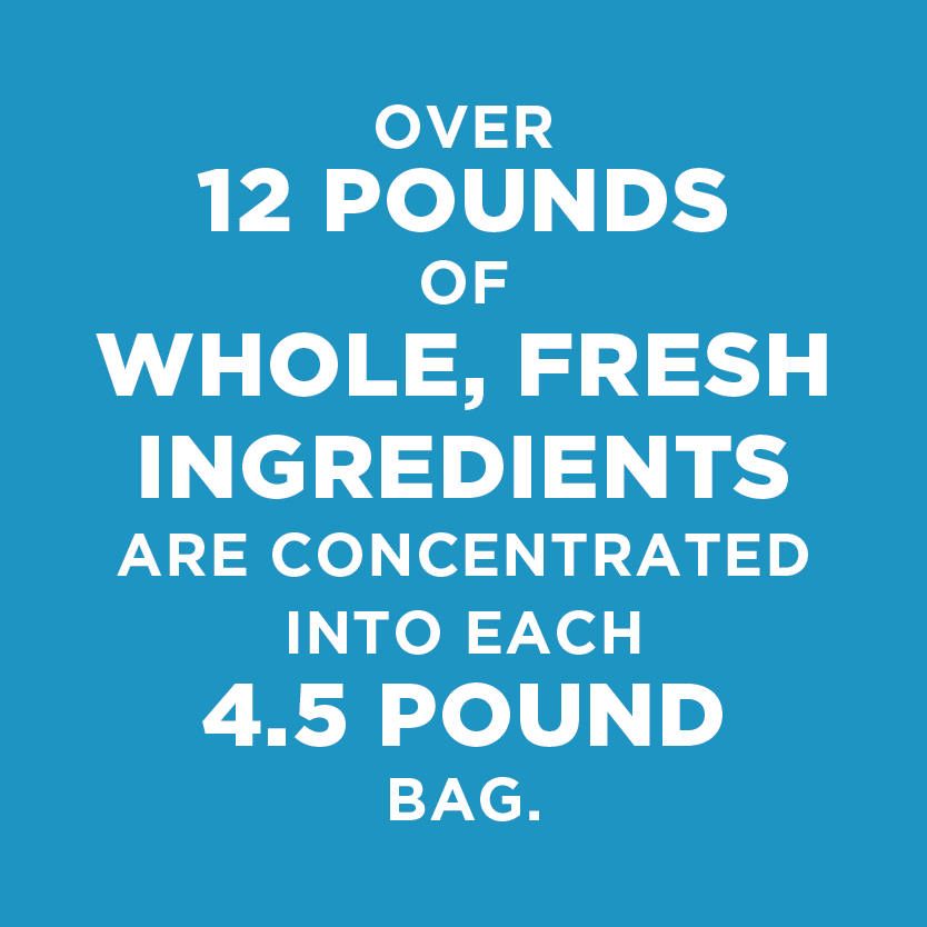 All-Natural Cold-Pressed Salmon Dog Food: 2 lb