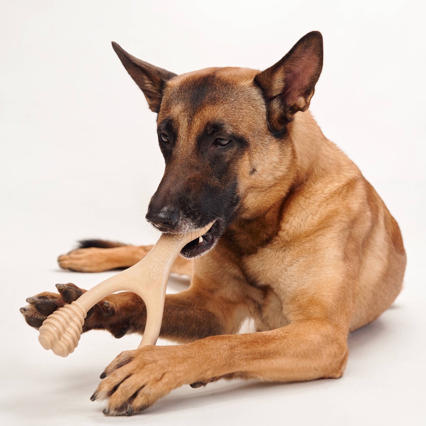 BetterBone MEDIUM: Unflavored / Mini (dogs 5 to 20 lbs)