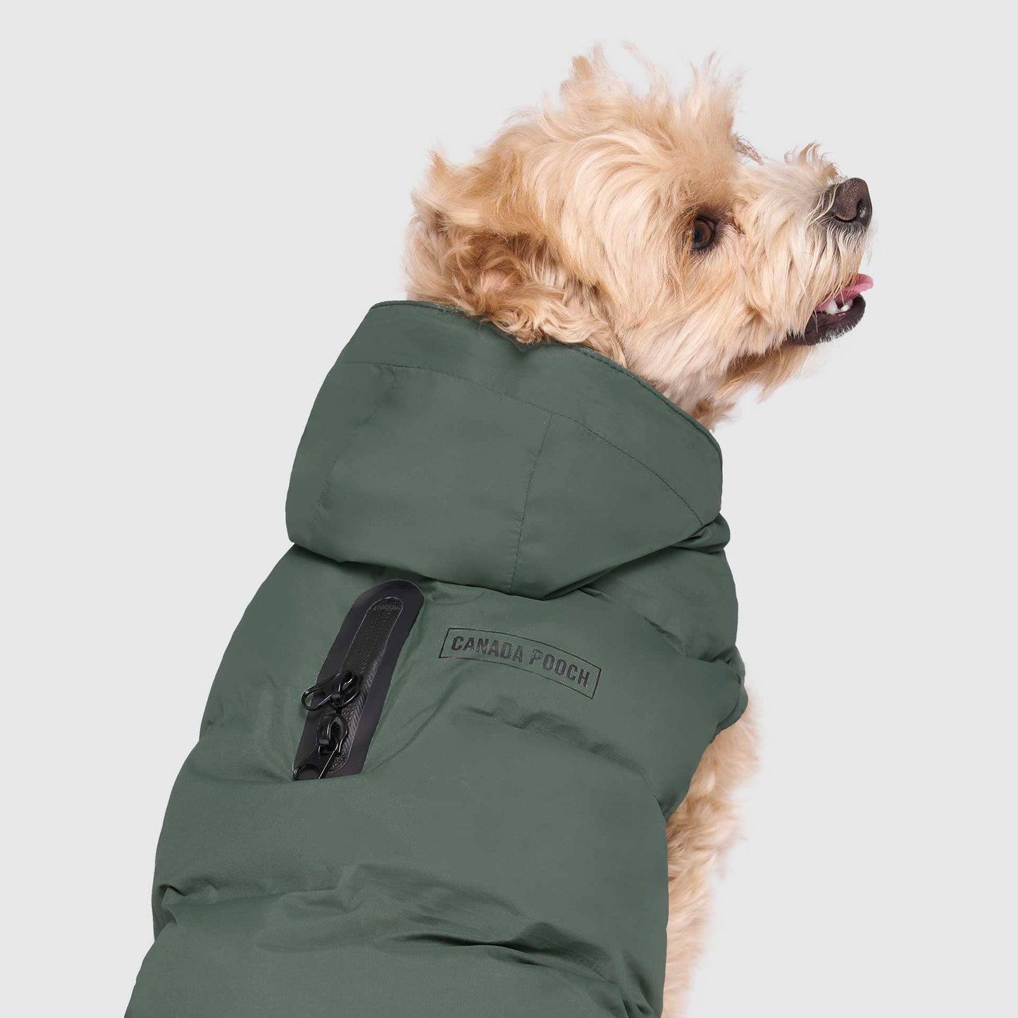 Waterproof Dog Puffer