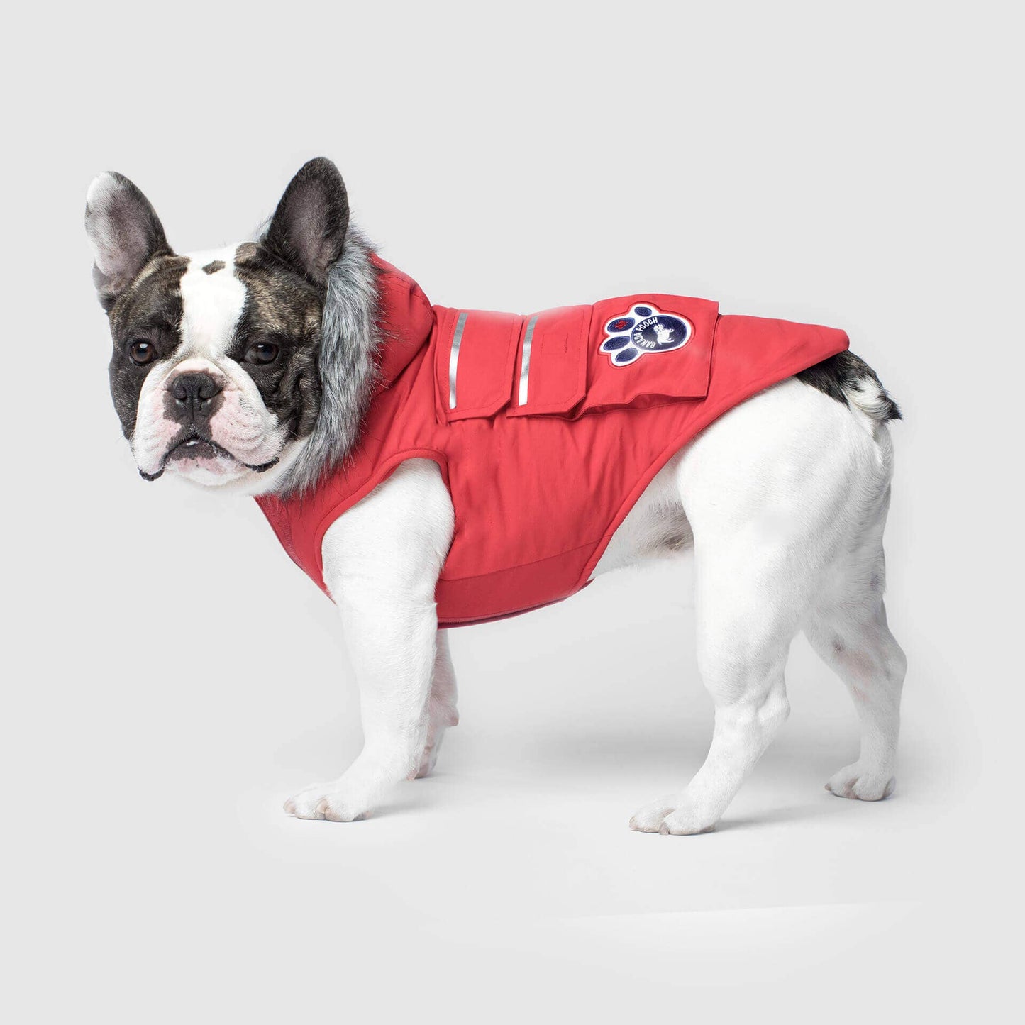 Everest Explorer Jacket- Dog Coat: Red Reflective