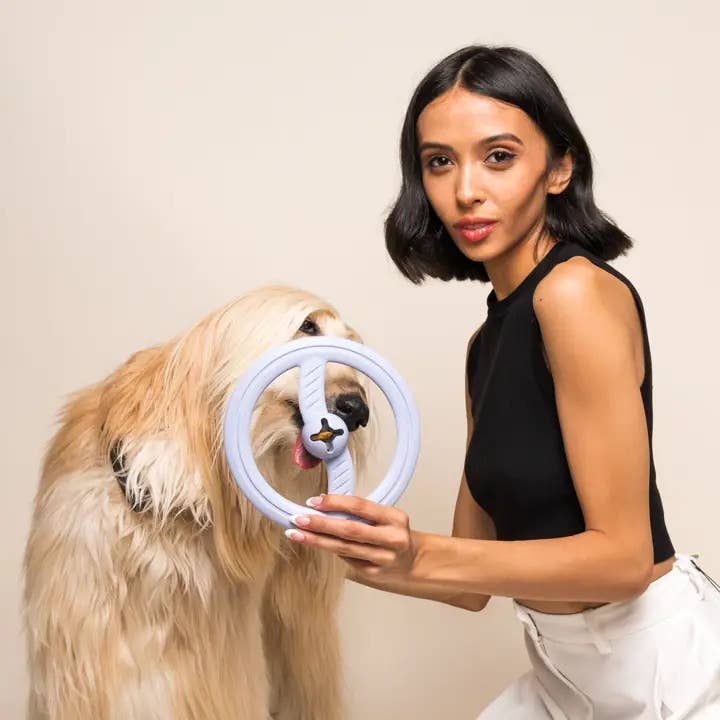 Fly Away Mint-Infused Dog Fetching & Interactive Toy: Pink