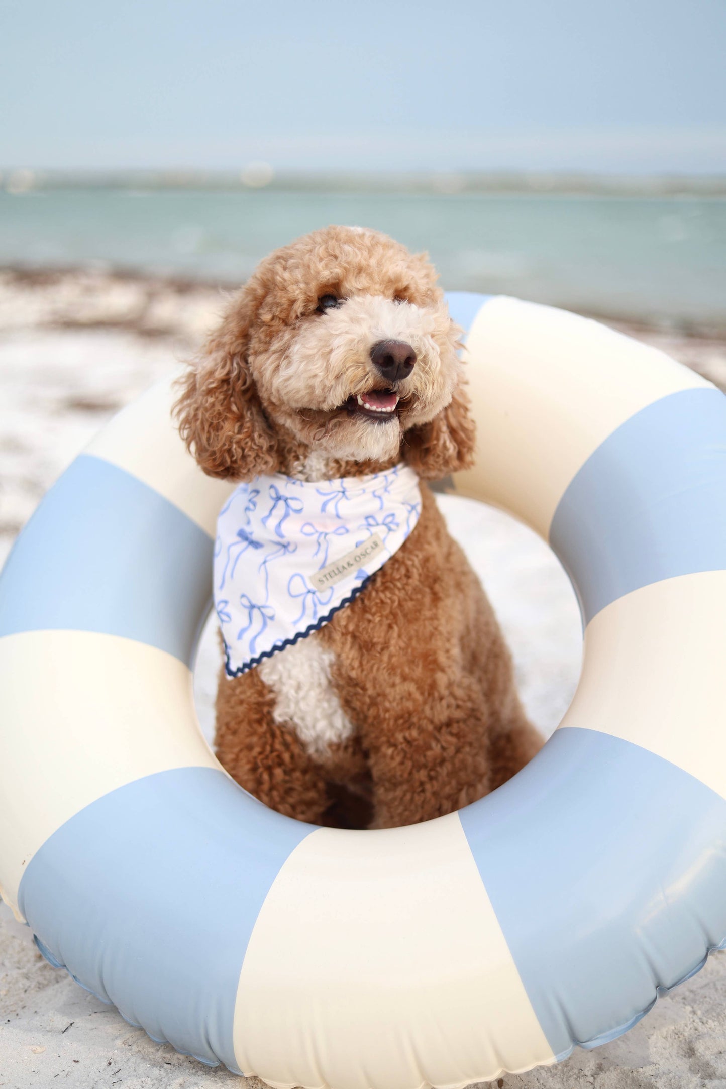 Stella & Oscar Ocean Knot Bandana