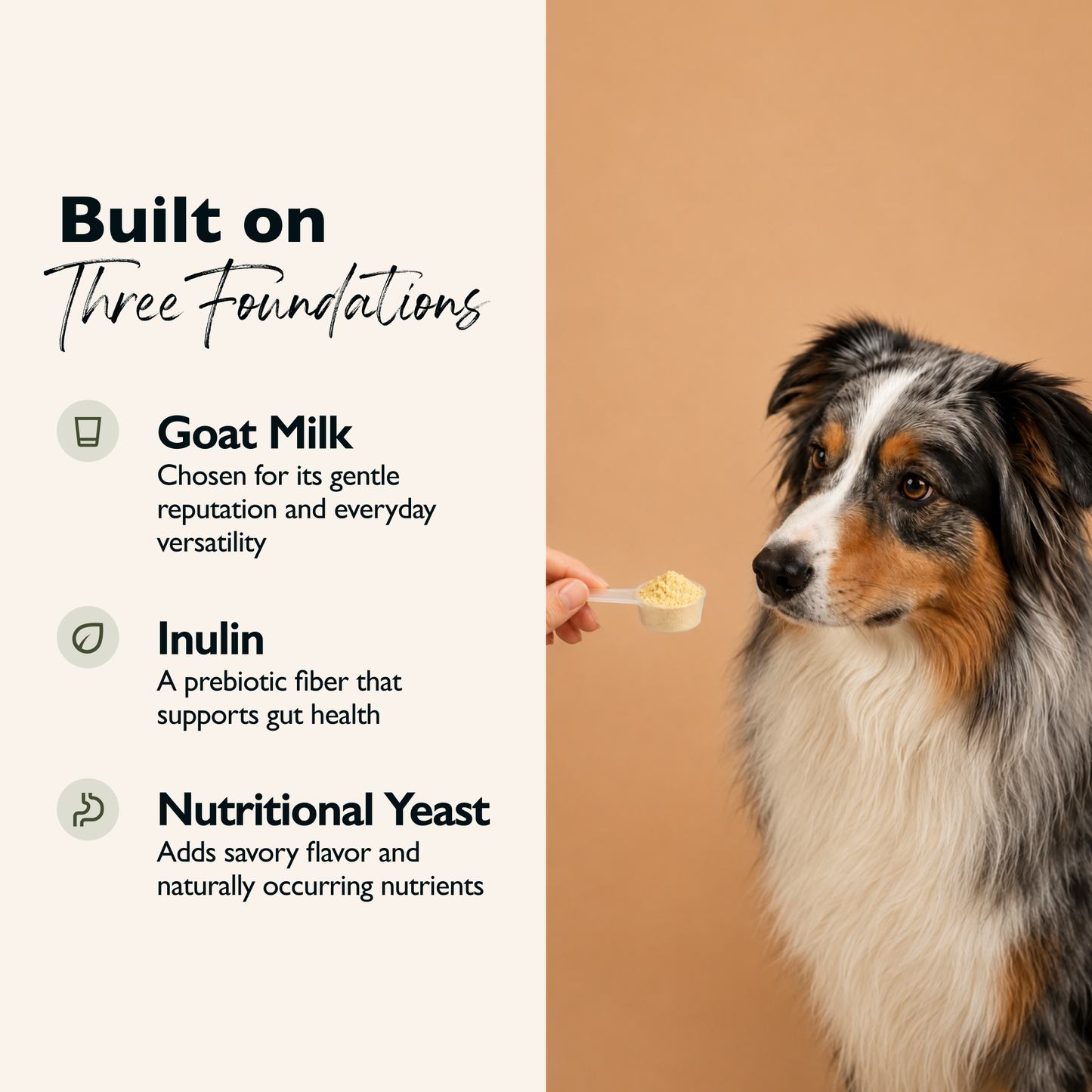 Goat Milk Dog Topper – Pumpkin & Chamomile | Gut-Friendly