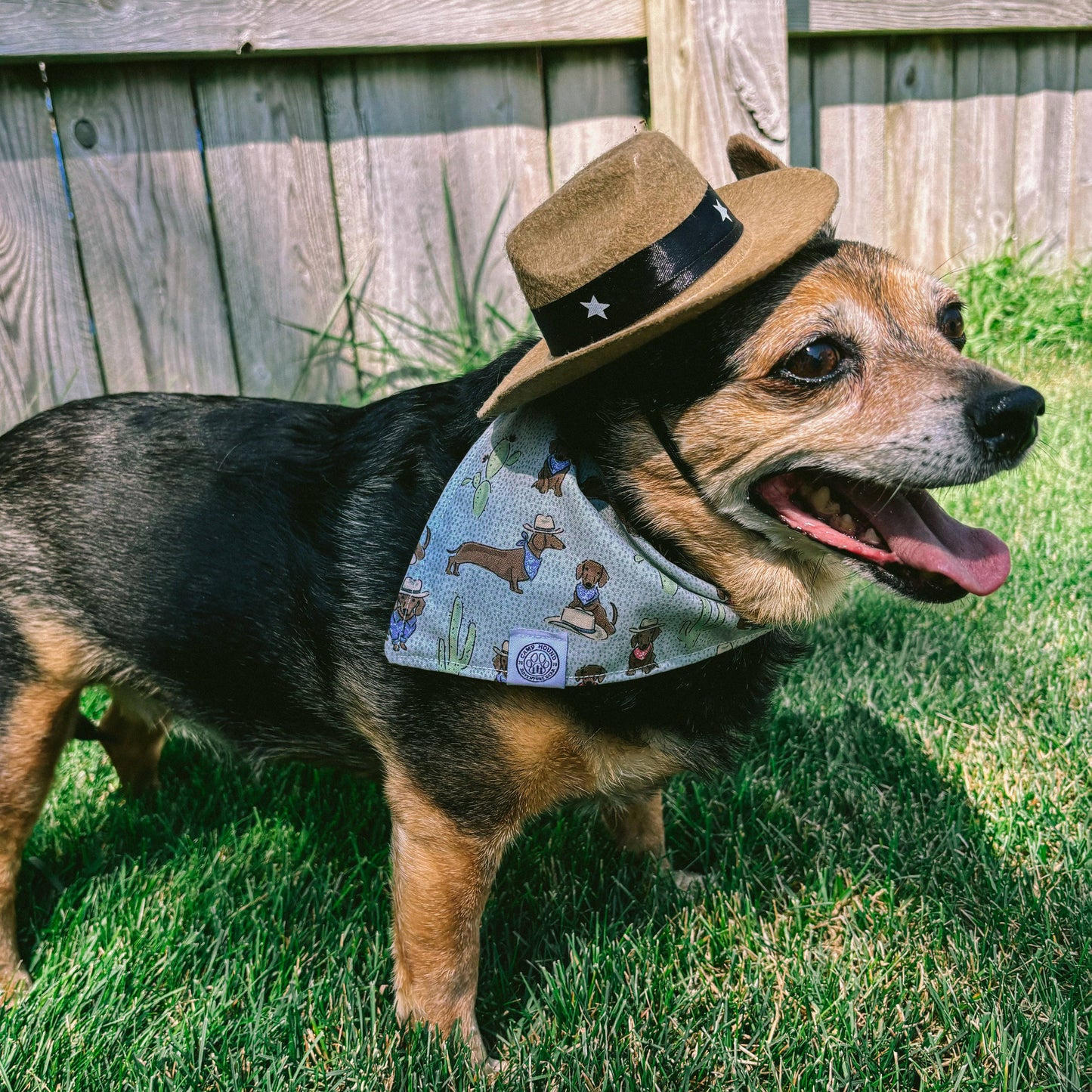 Bandit Dog Bandana | Cowboy Western Boho