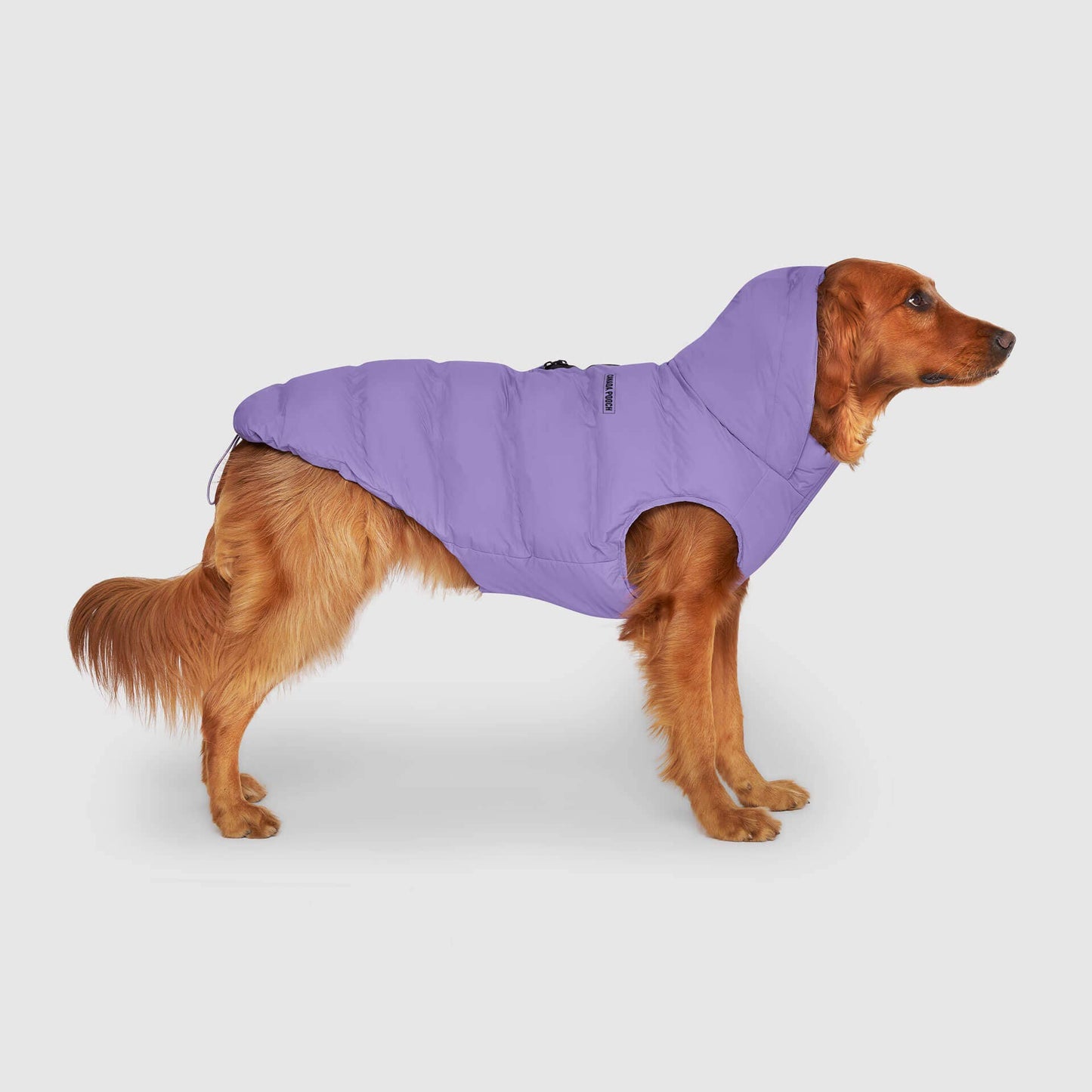 Waterproof Dog Puffer