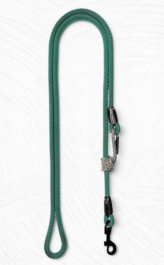 Wales extendable leash: 2.60 mt / Climb