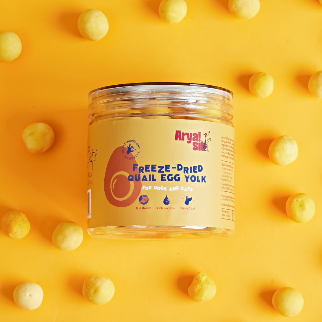 Freeze-Dried Egg Yolk: Small