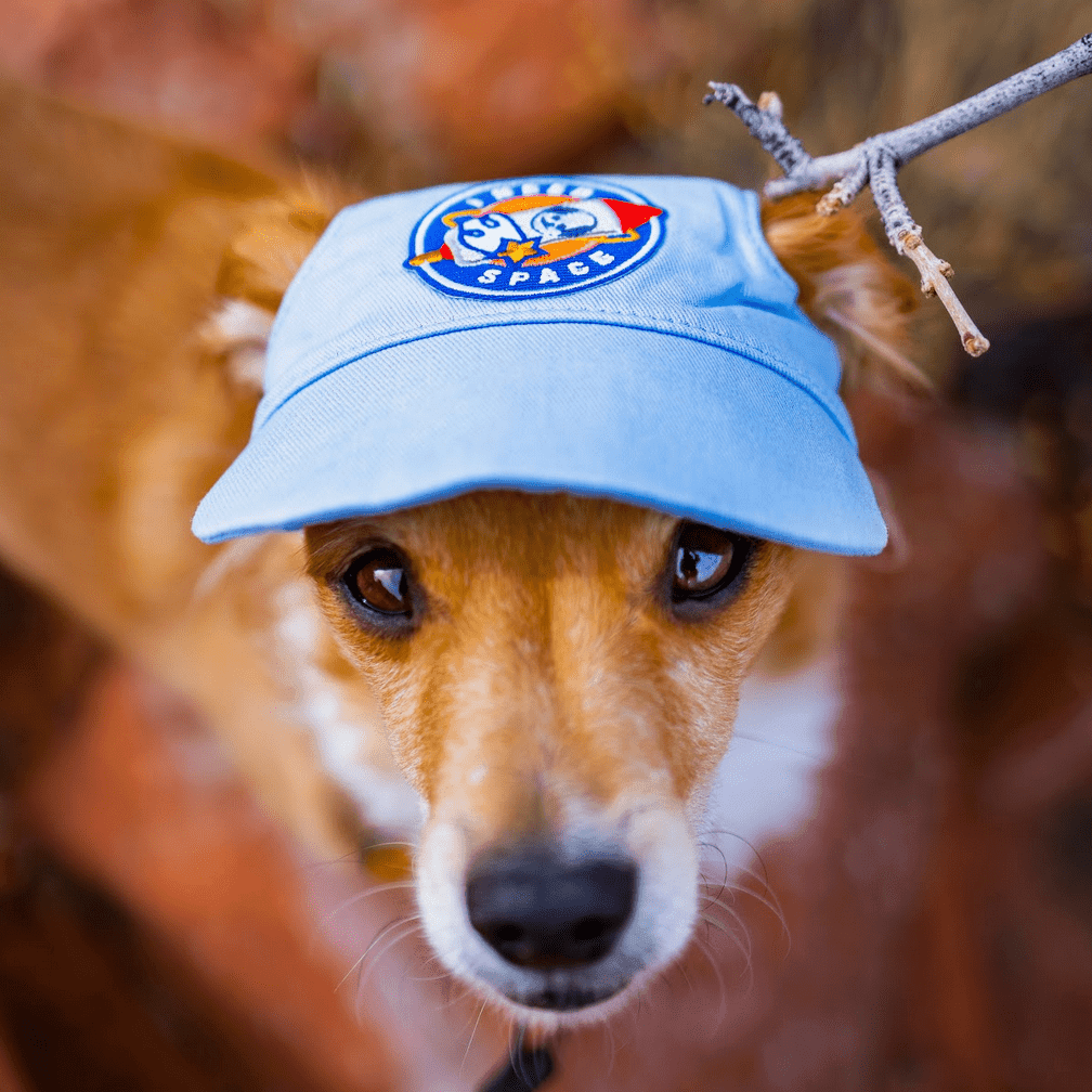 I Need Space | Velcro or Iron-On Patch for Pets