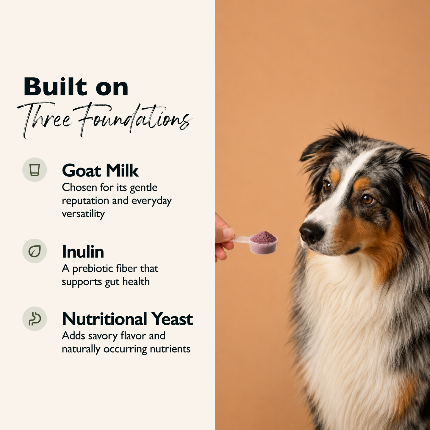 Goat Milk Dog Topper – Beet & Blueberry | Gut-Friendly