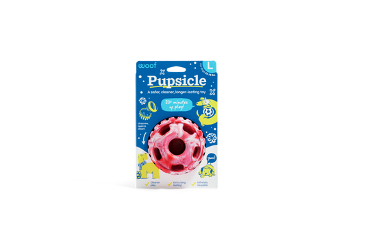 The Pupsicle - Holiday Limited Edition: Large