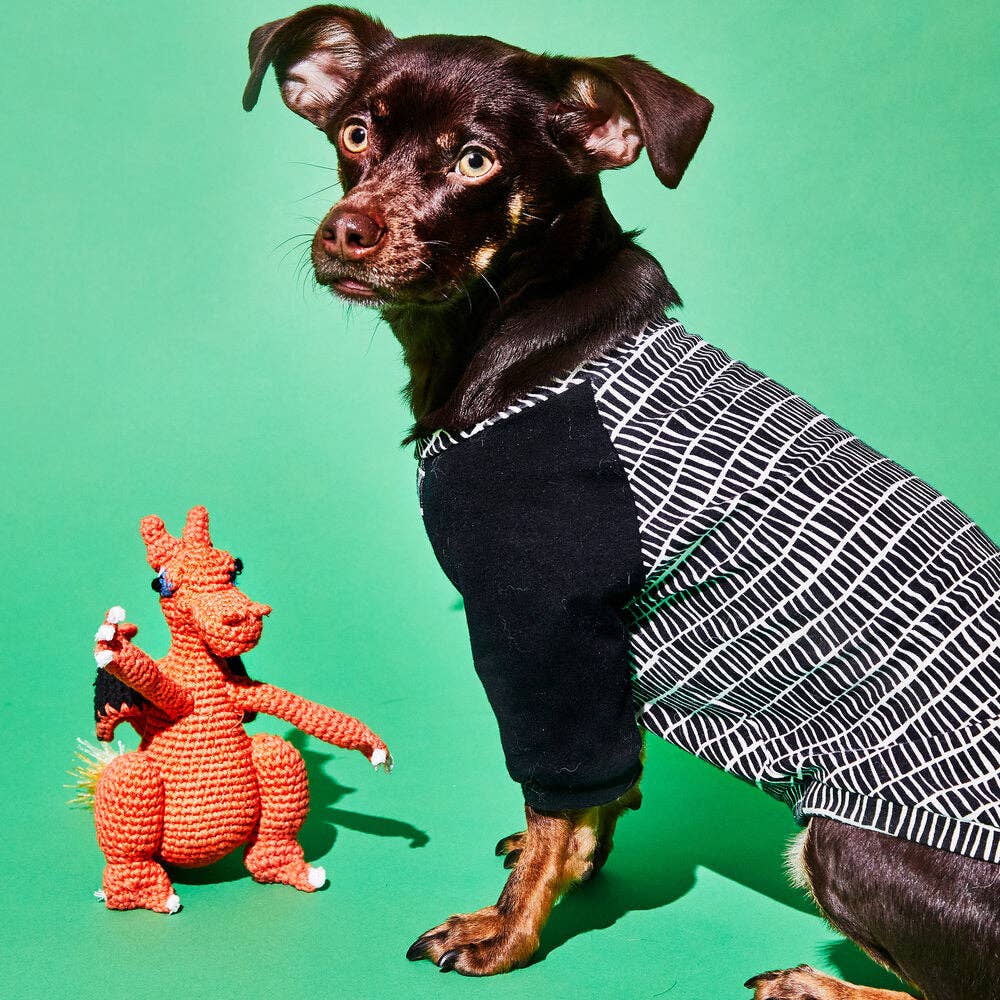 Hand Crochet Dragon Dog Toy: Large