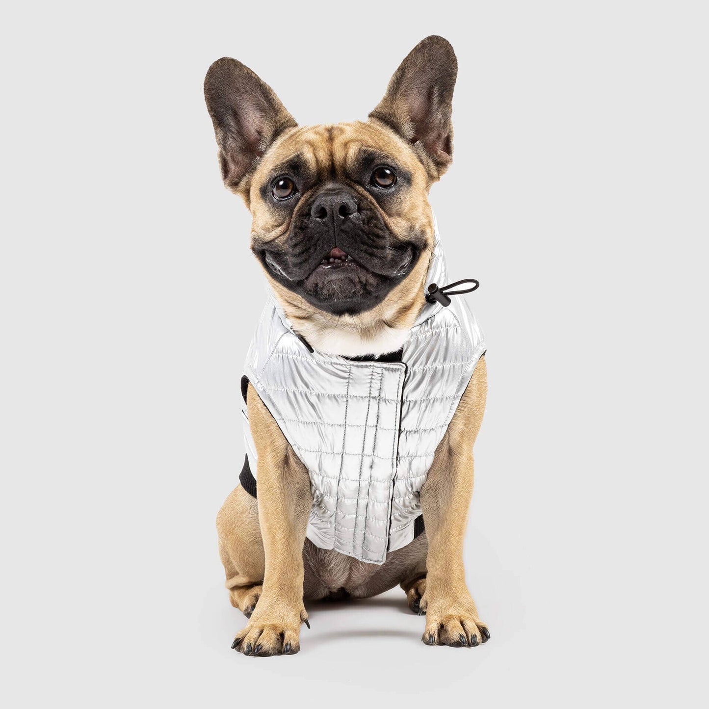 Shiny Puffer Vest- Dog Coat: Iridescent