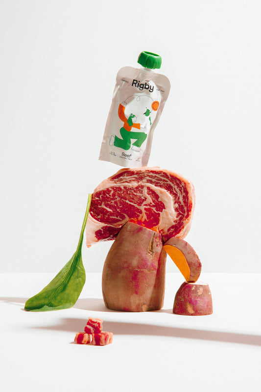 Organic Beef Squeeze Pouch for Dogs