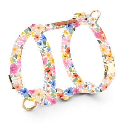 Margaux Dog Harness: S