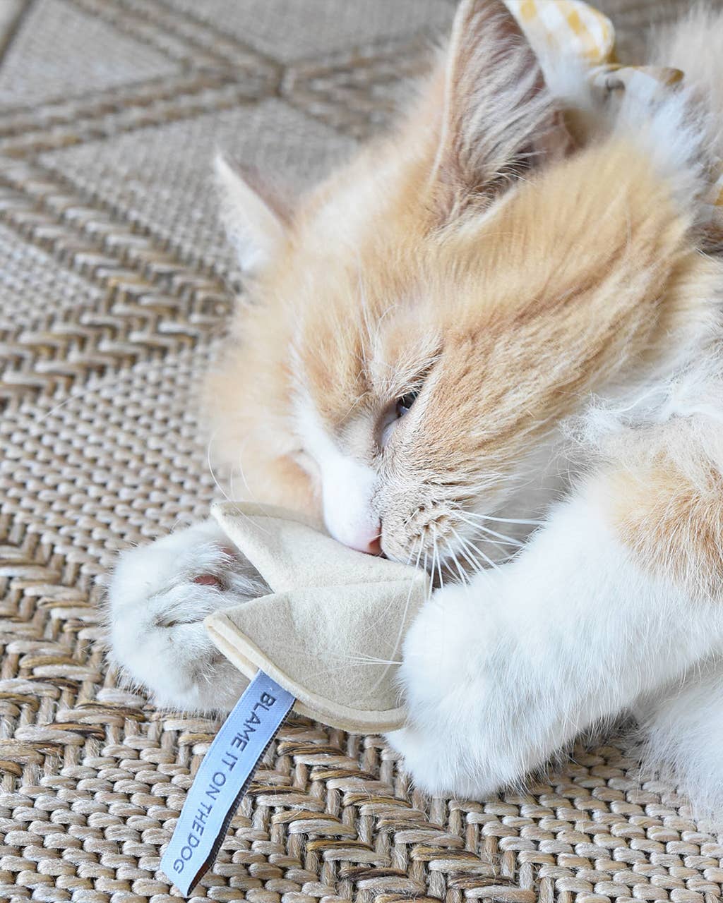 KITTY FORTUNE COOKIE Organic Catnip Cat Toy: You Will Miss The Litterbox