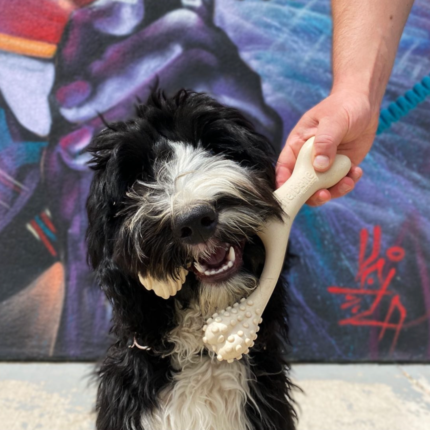 BetterBone SOFT: Unflavored / Large (dogs over 25 lbs)