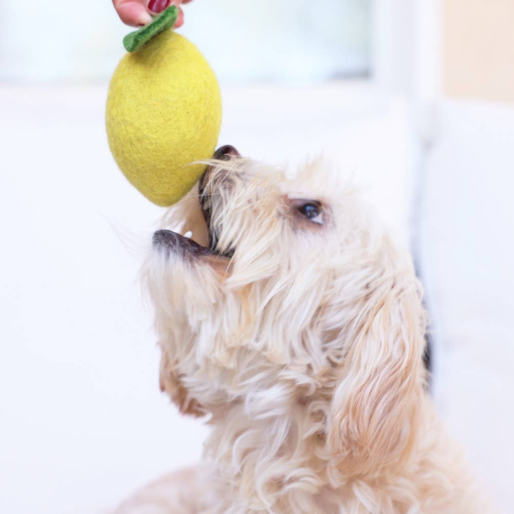 WOOL LEMON Wool Dog and Cat Toy: Large