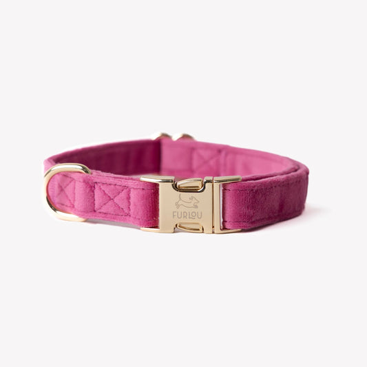 'Magenta' - Velvet Dog Collar: MEDIUM